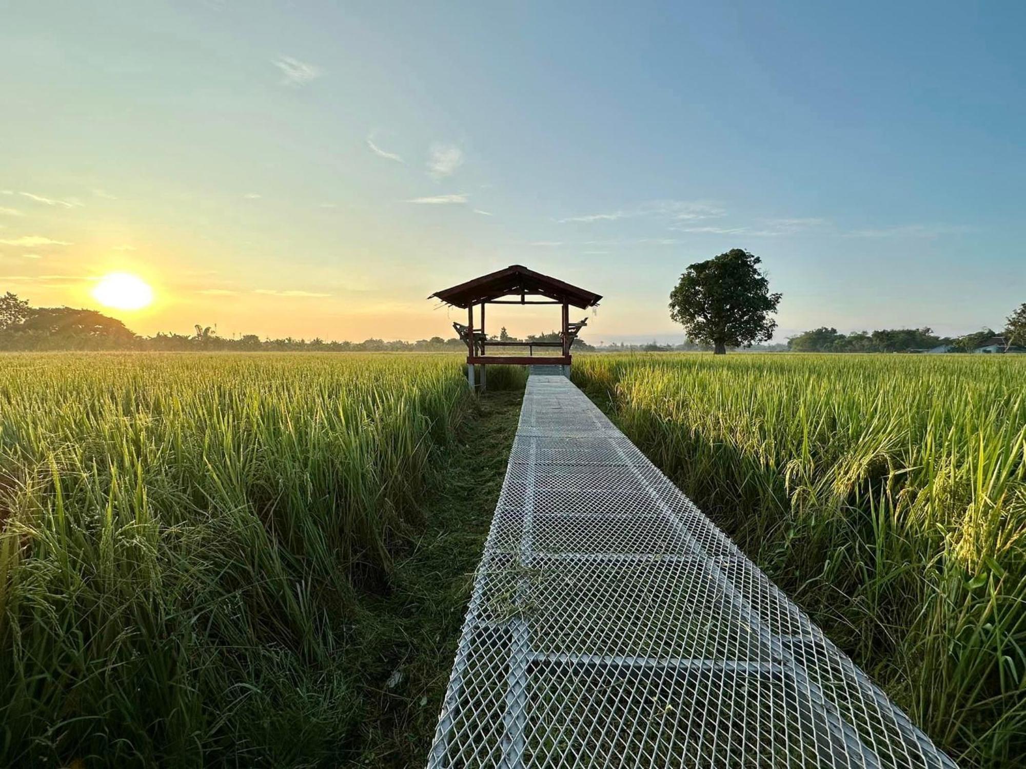 Phanumas Resort Chiang Mai Dış mekan fotoğraf
