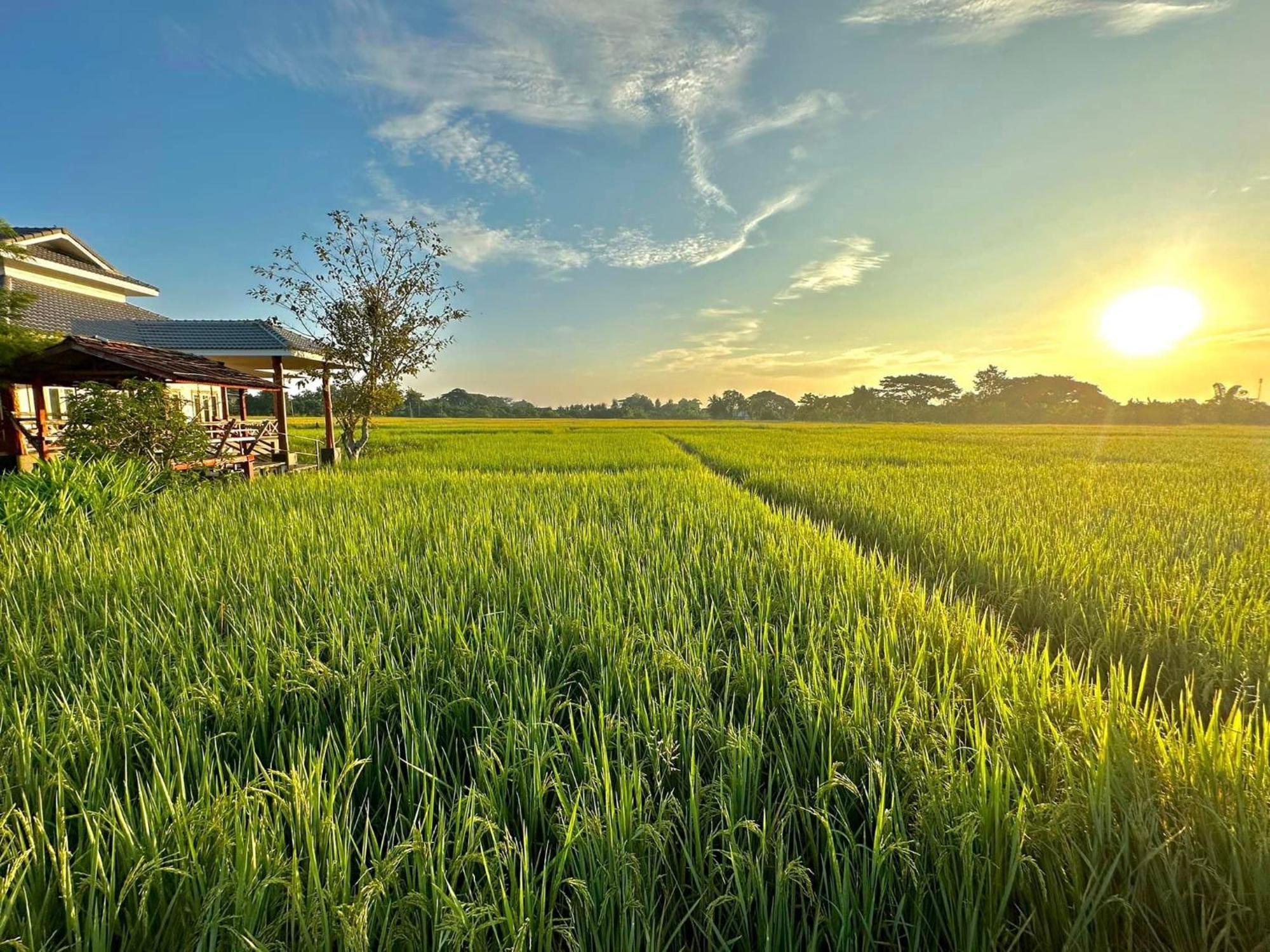 Phanumas Resort Chiang Mai Dış mekan fotoğraf